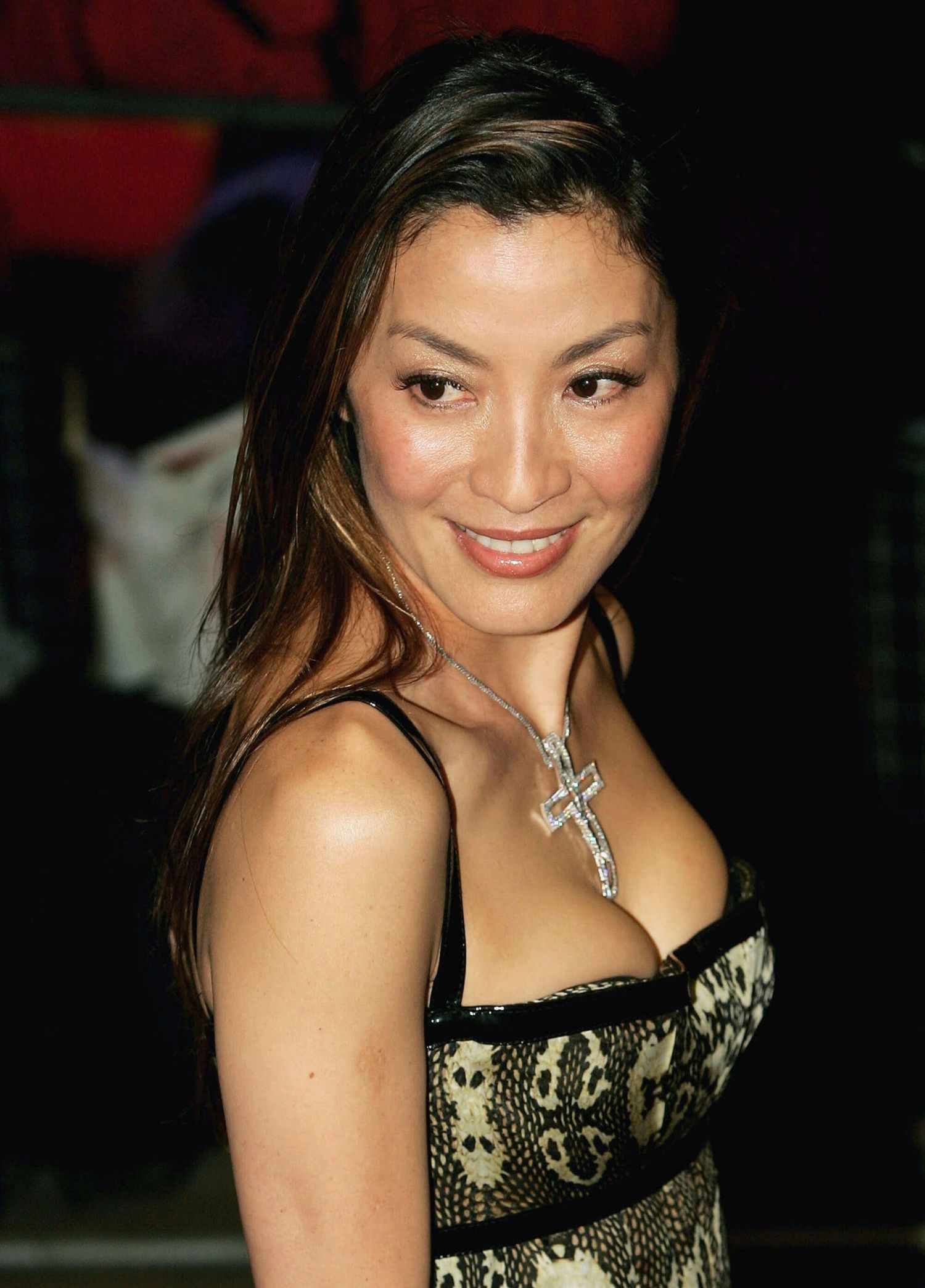 49 Michelle Yeoh Nude Pictures Are An Apex Of Magnificence 8