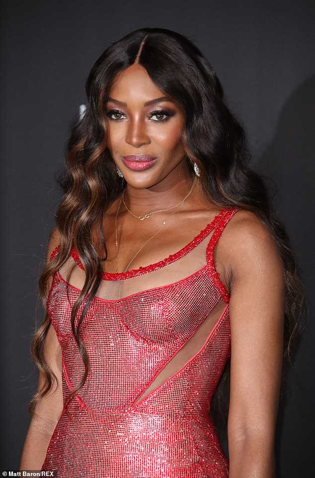 50 Naomi Campbell Nude Pictures Are An Exemplification Of Hotness 42