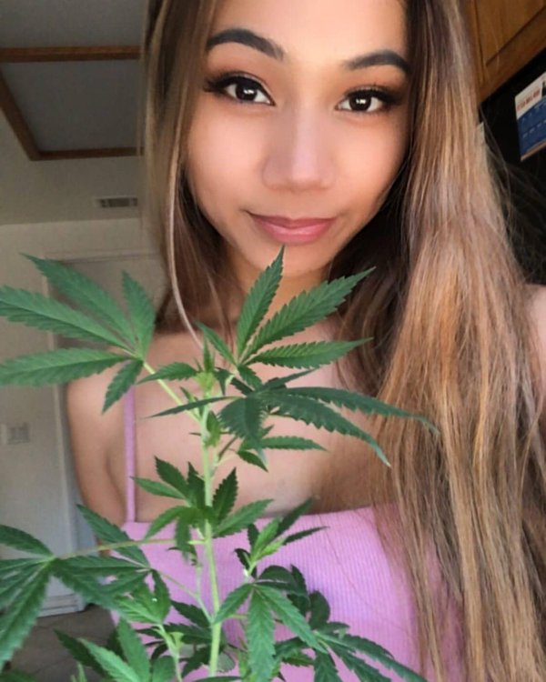 31 Sexy Weed Girls 4