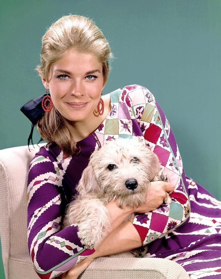 61 Sexy Candice Bergen Boobs Pictures Are Going To Liven You Up 12