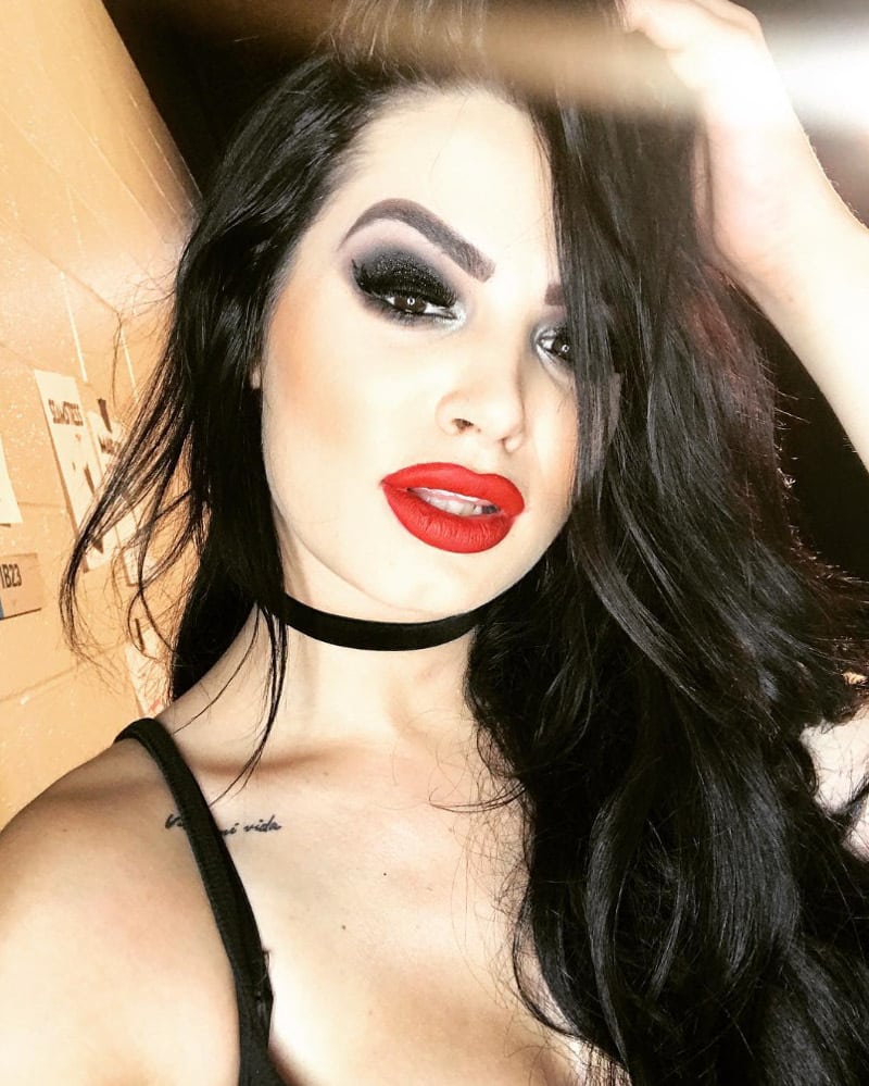 61 Sexy Paige Boobs Pictures Which Will Make You Succumb To Her 31