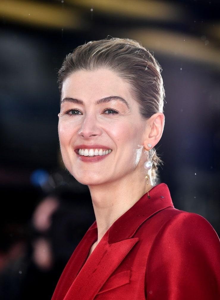 70+ Hot Pictures Of Rosamund Pike Are Pure Bliss For Fans 322
