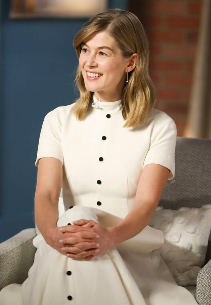 70+ Hot Pictures Of Rosamund Pike Are Pure Bliss For Fans 301