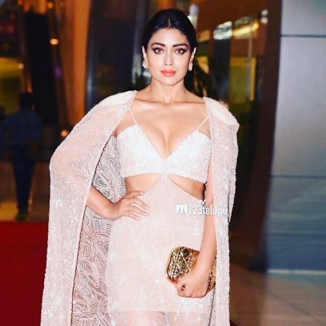 shriya saran superb