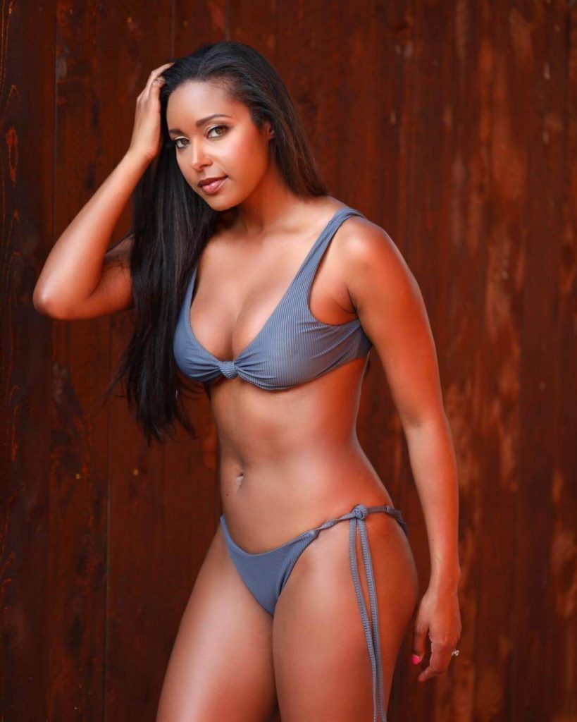 50 Sexy and Hot Brandi Rhodes Pictures – Bikini, Ass, Boobs 3