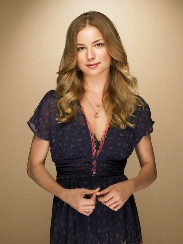 40 Sexy and Hot Emily VanCamp Pictures – Bikini, Ass, Boobs 22