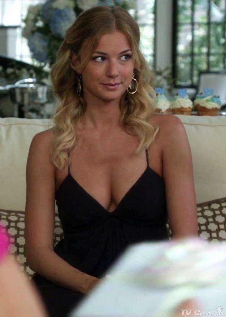 40 Sexy and Hot Emily VanCamp Pictures – Bikini, Ass, Boobs 24