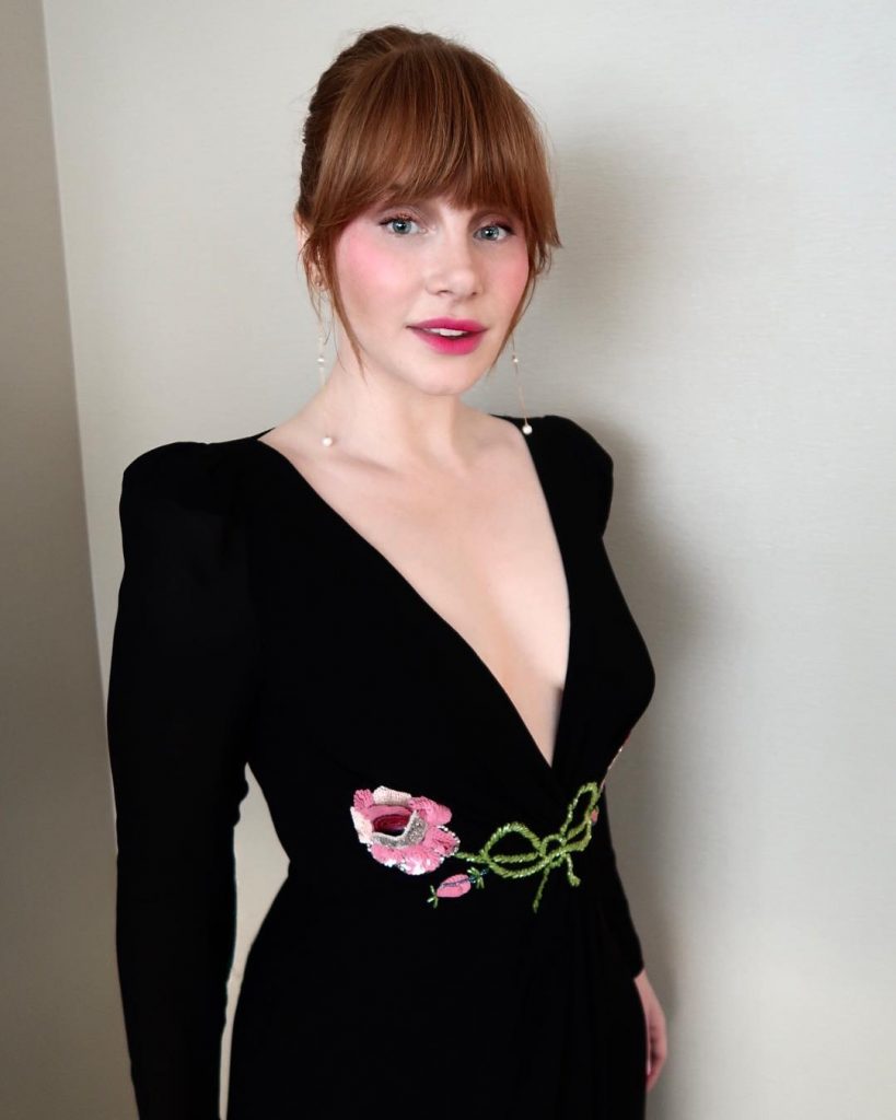 56 Sexy and Hot Bryce Dallas Howard Pictures – Bikini, Ass, Boobs 137
