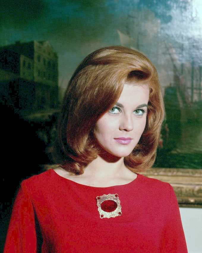 50 Sexy and Hot Ann-Margret Pictures – Bikini, Ass, Boobs 86