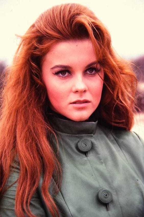 50 Sexy and Hot Ann-Margret Pictures – Bikini, Ass, Boobs 89