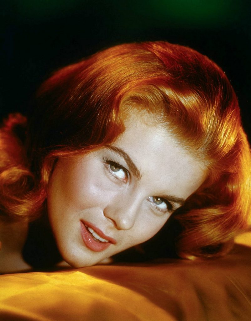 50 Sexy and Hot Ann-Margret Pictures – Bikini, Ass, Boobs 10