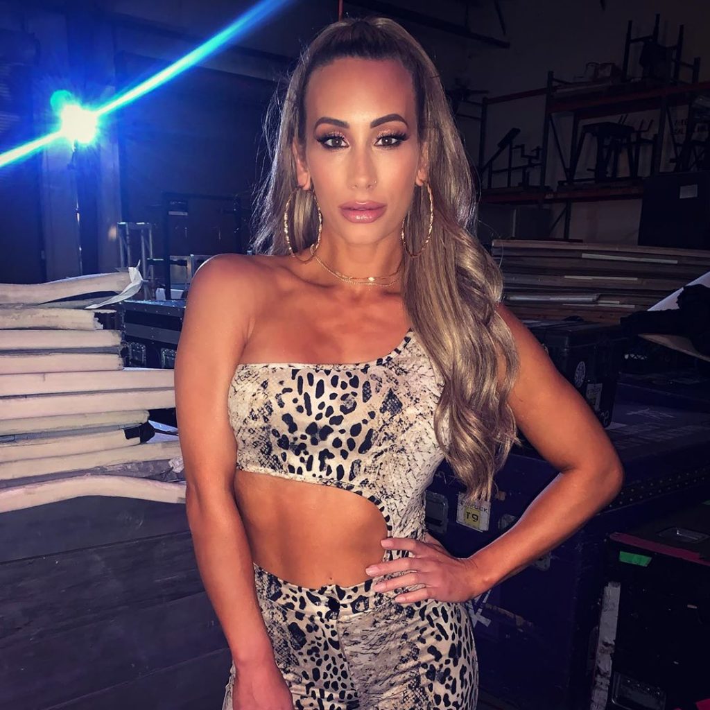 48 Sexy and Hot Carmella Pictures – Bikini, Ass, Boobs 39