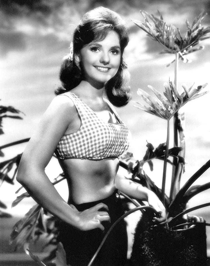 50 Sexy and Hot Dawn Wells Pictures – Bikini, Ass, Boobs 6