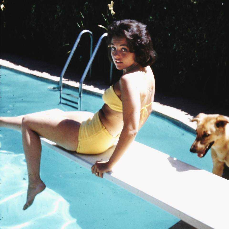 50 Sexy and Hot Dawn Wells Pictures - Bikini, Ass, Boobs.