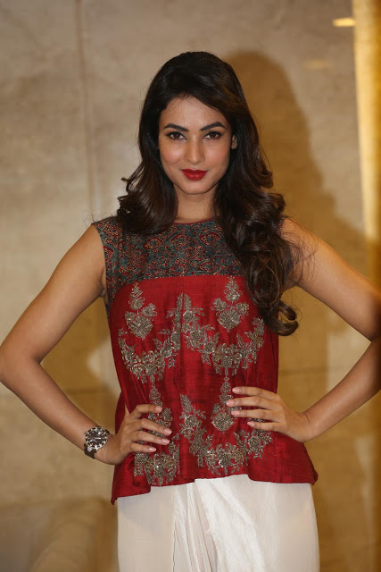 Hot Sonal Chauhan Latest Images Gallery 4