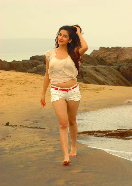 Actress Parul Gulati Sizzling Hot Beach Photoshoot 8