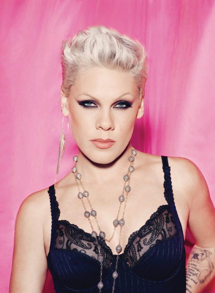 49 P!nk Nude Pictures Which Make Her A Work Of Art 24