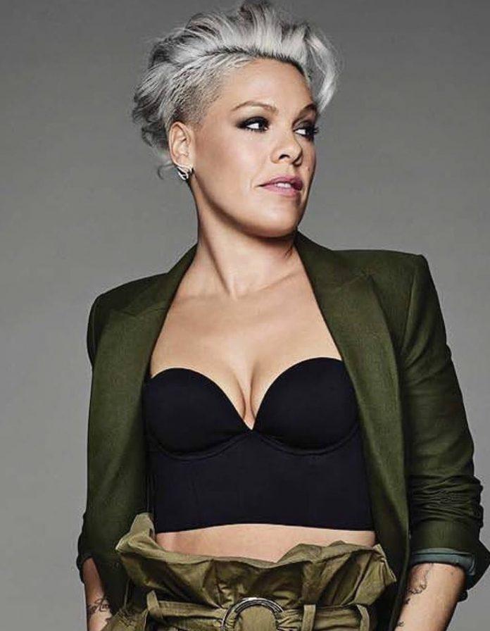 49 P!nk Nude Pictures Which Make Her A Work Of Art 7