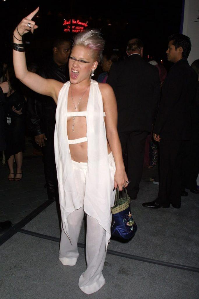 49 P!nk Nude Pictures Which Make Her A Work Of Art 2