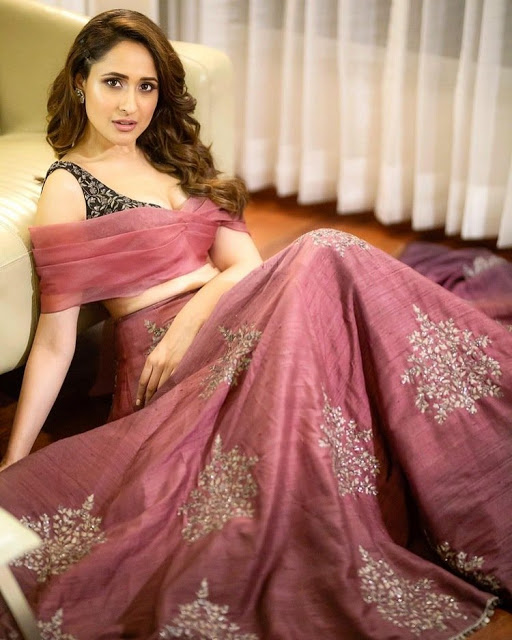 Pragya Jaiswal Latest Photo Shoot Stills 5