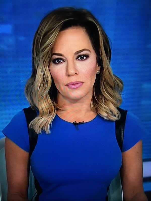 43 Sexy and Hot Robin Meade Pictures – Bikini, Ass, Boobs 37