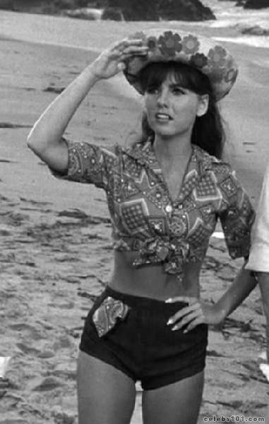 50 Sexy and Hot Dawn Wells Pictures – Bikini, Ass, Boobs 84