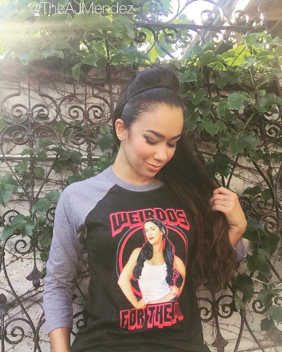 70+ Hot Pictures Of AJ Lee WWE Diva 14