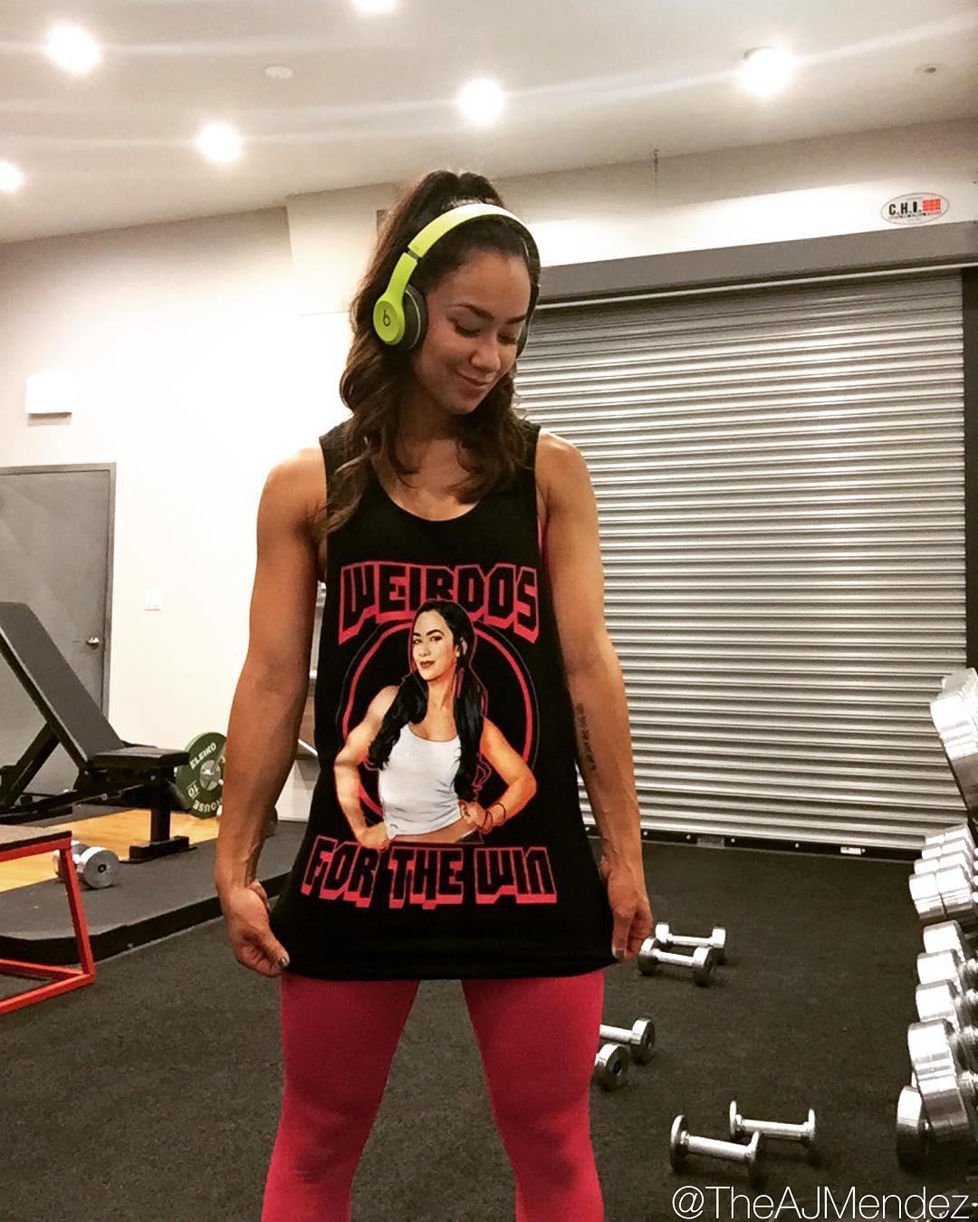 70+ Hot Pictures Of AJ Lee WWE Diva 16