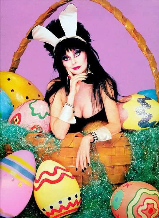 70+ Hot Pictures Of Cassandra Peterson – Elvira, Mistress of the Dark 21