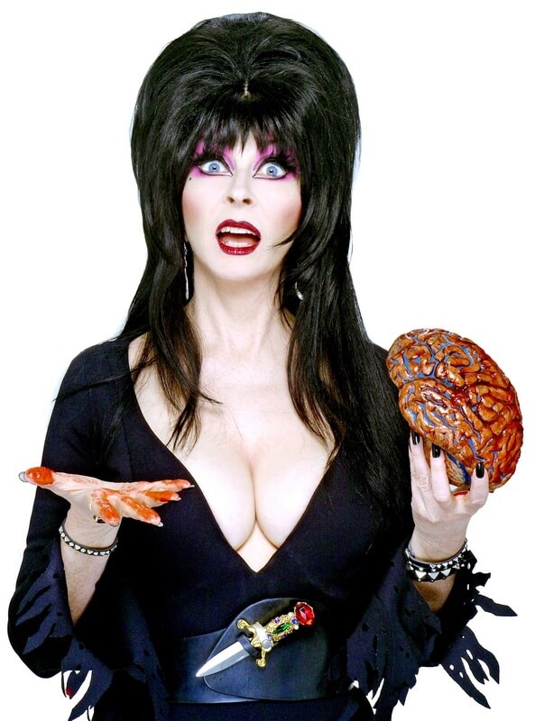 70+ Hot Pictures Of Cassandra Peterson – Elvira, Mistress of the Dark 8