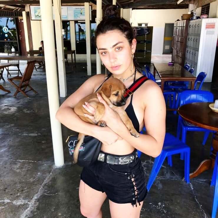 43 Sexy and Hot Charli XCX Pictures – Bikini, Ass, Boobs 37