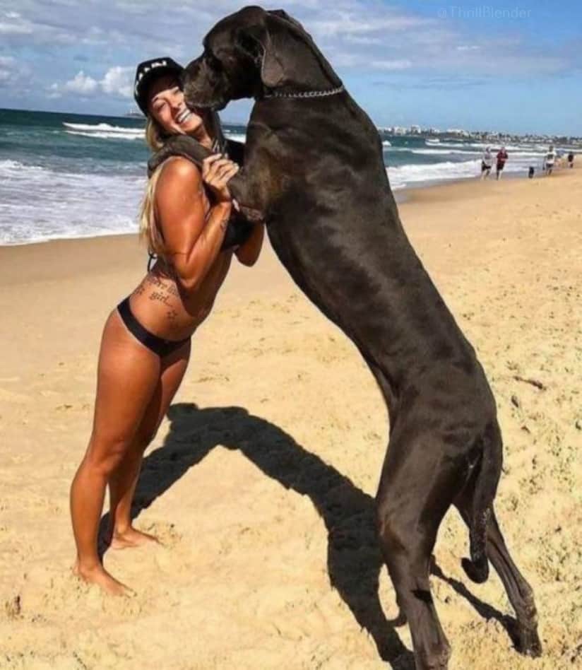 60 Sexy Animal Lovers 38