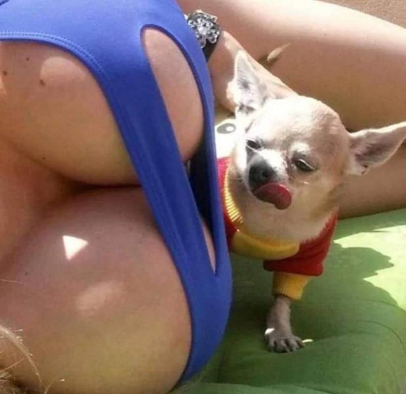 60 Sexy Animal Lovers 117