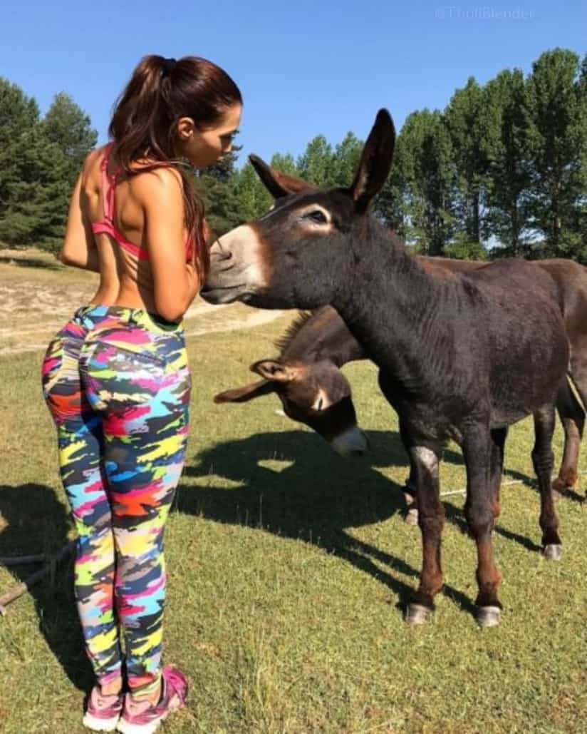 60 Sexy Animal Lovers 124