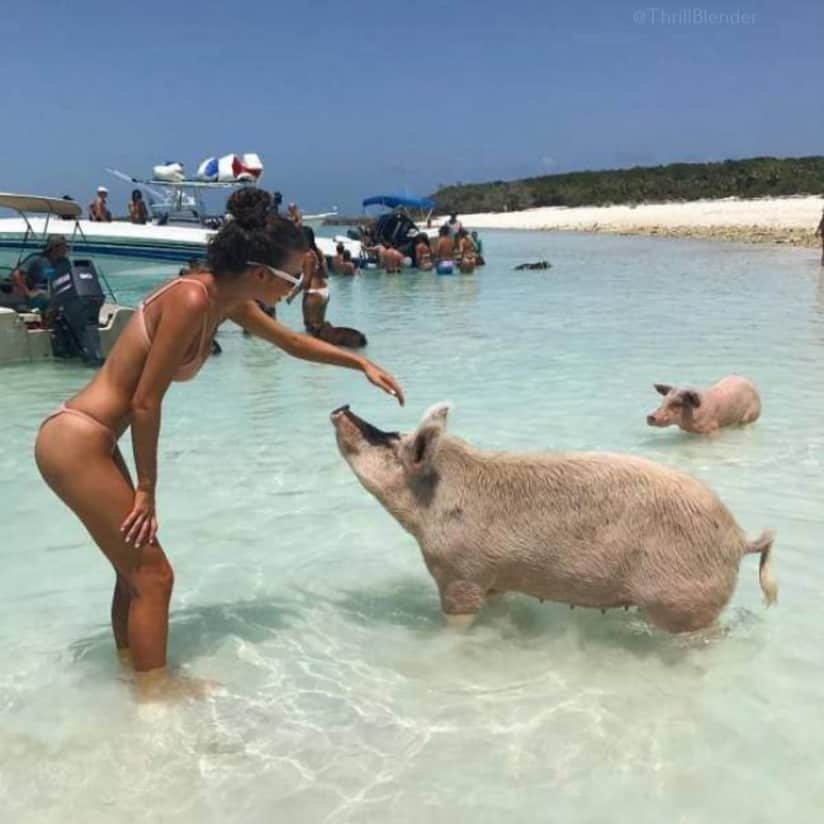 60 Sexy Animal Lovers 50