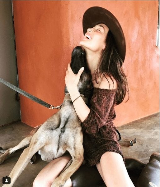 maggie q dog lover