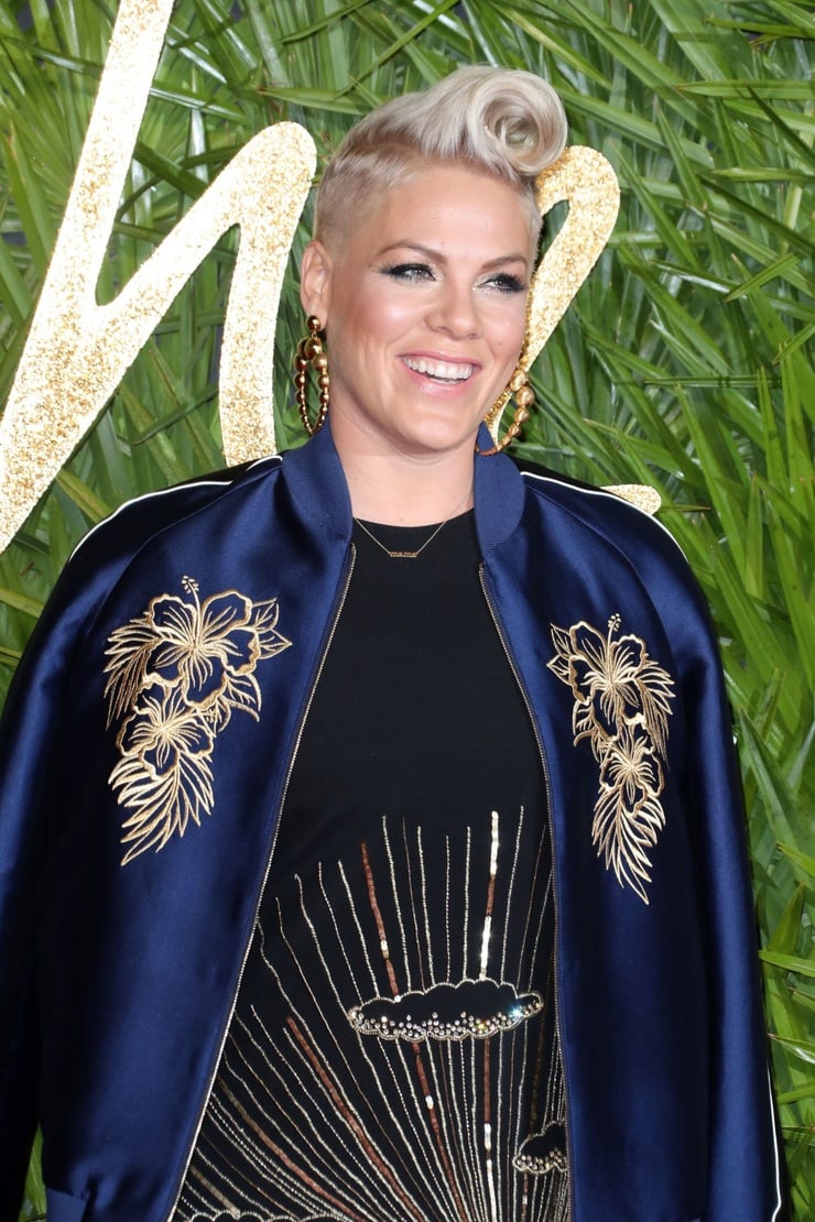 61 Sexy P!nk Boobs Pictures Are Embodiment Of Hotness 35