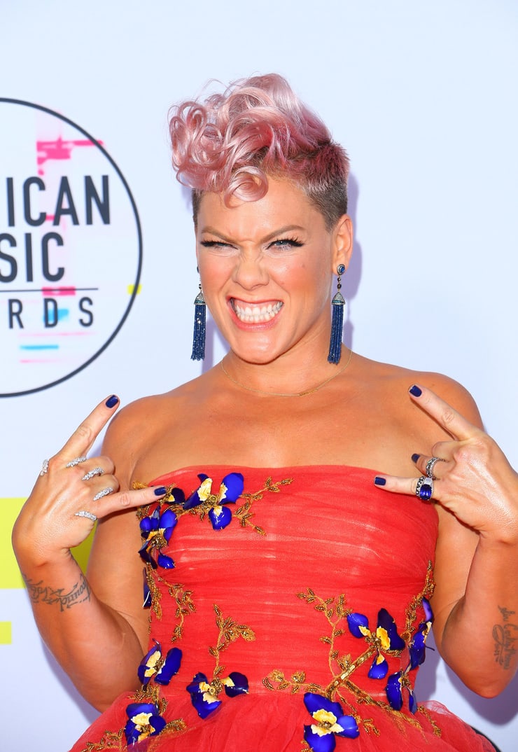 61 Sexy P!nk Boobs Pictures Are Embodiment Of Hotness 34