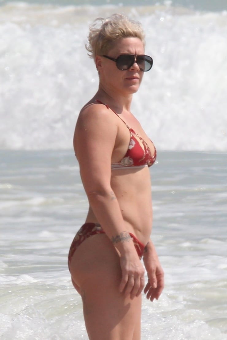 61 Sexy P!nk Boobs Pictures Are Embodiment Of Hotness 31