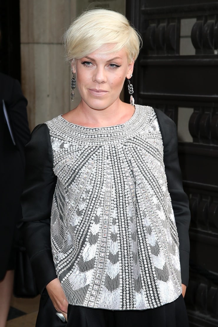 61 Sexy P!nk Boobs Pictures Are Embodiment Of Hotness 27