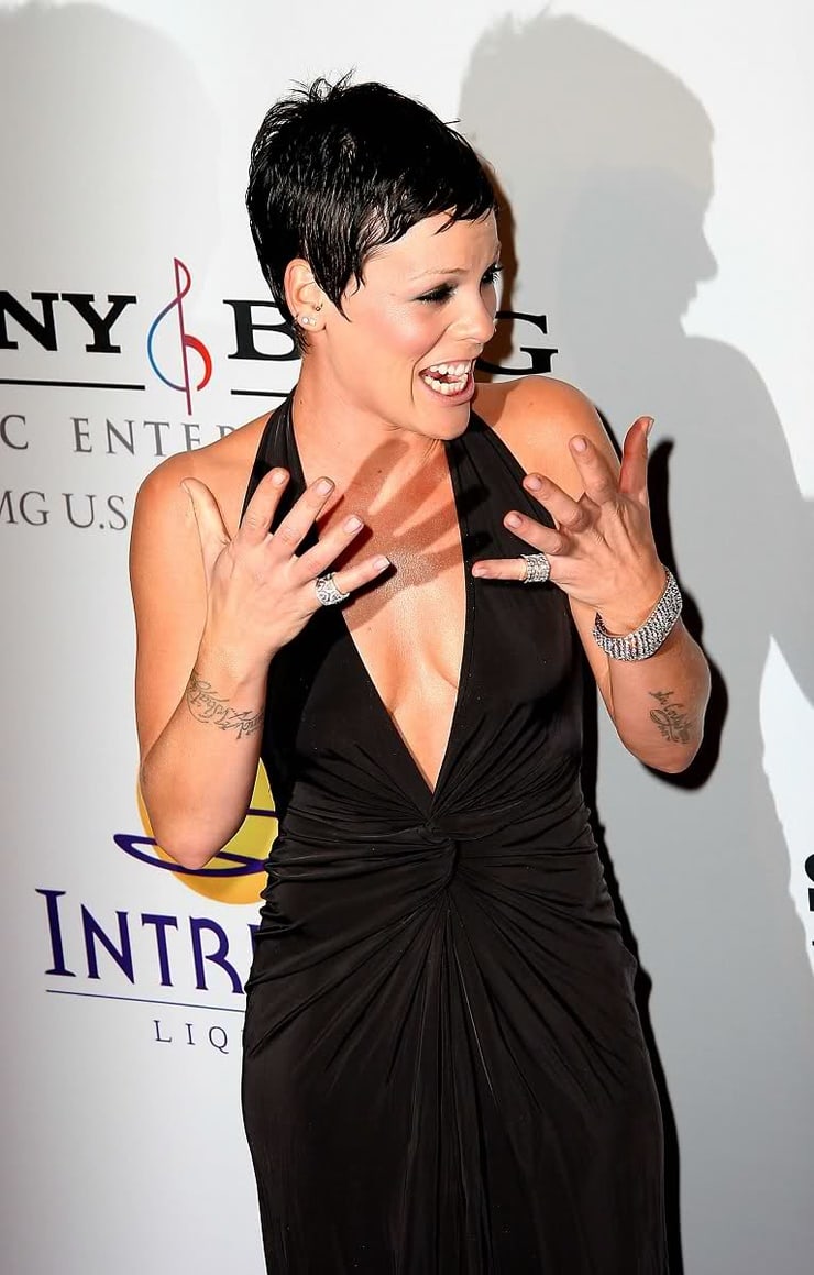 61 Sexy P!nk Boobs Pictures Are Embodiment Of Hotness 23