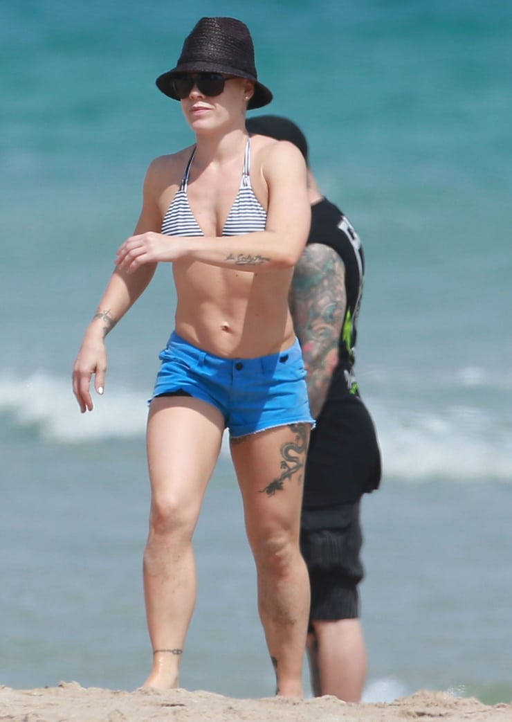 61 Sexy P!nk Boobs Pictures Are Embodiment Of Hotness 19