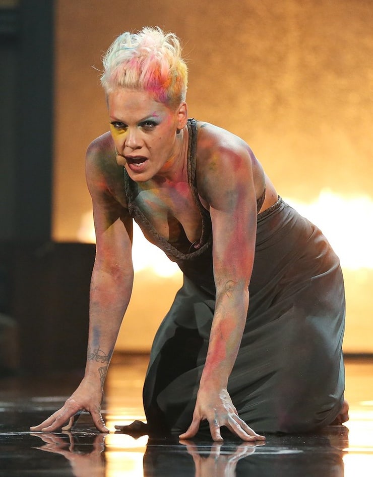 61 Sexy P!nk Boobs Pictures Are Embodiment Of Hotness 17