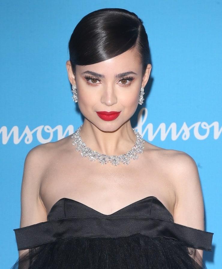 70+ Hot Pictures Of Sofia Carson That Are Sure To Keep You On The Edge Of Your Seat 142