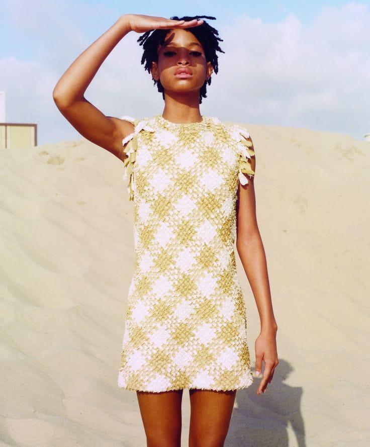 70+ Hot Pictures Of Willow Smith Are Too Damn Appealing 12