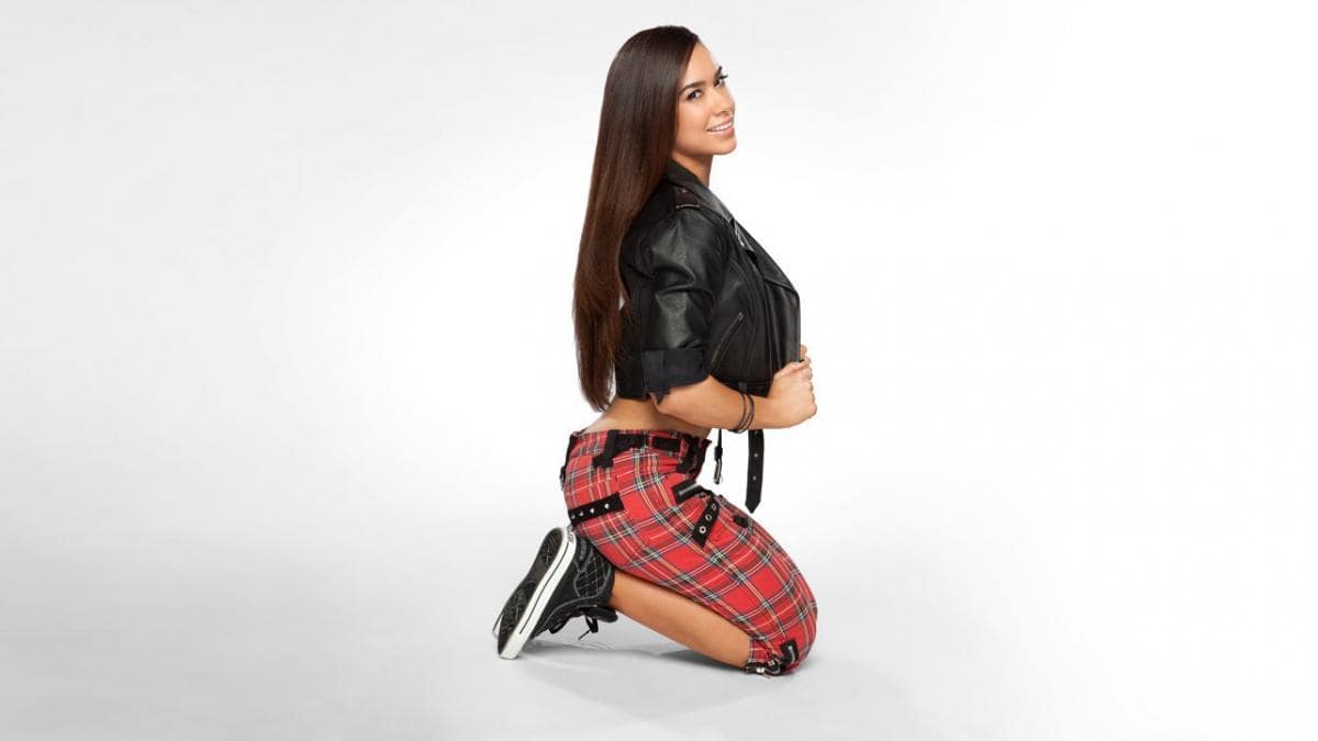 AJ Lee awesome pictures