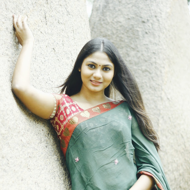 Telugu Actress Shruthi Reddy Hot Pics In Saree 3