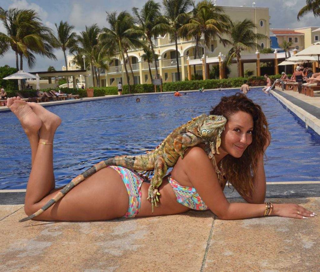 47 Sexy and Hot Adrienne Bailon Pictures – Bikini, Ass, Boobs 20