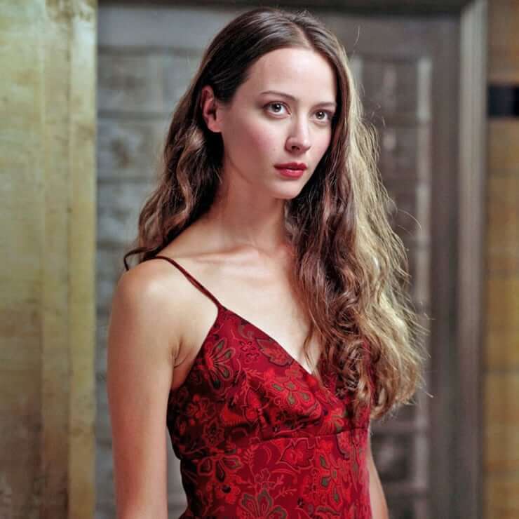 70+ Hot Pictures of Amy Acker Will Make You Desire Her Like No Other Thing 4