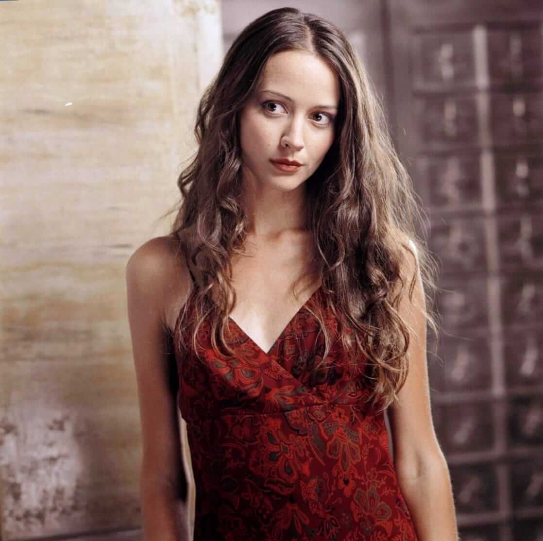 70+ Hot Pictures of Amy Acker Will Make You Desire Her Like No Other Thing 28